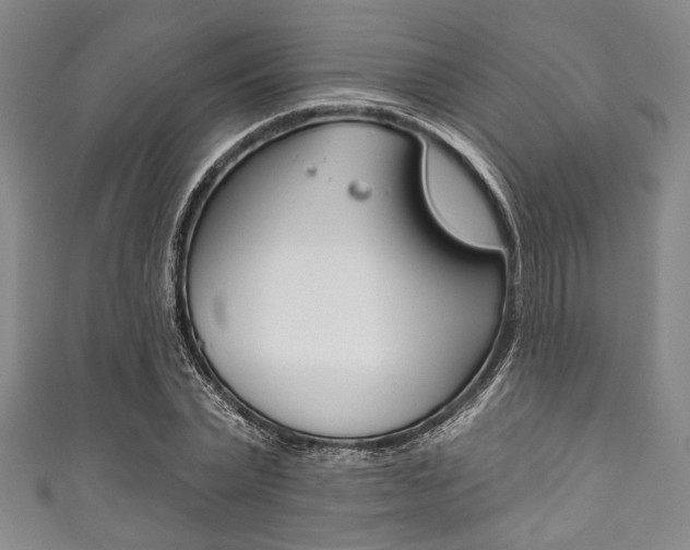 X0000111830783200907231021