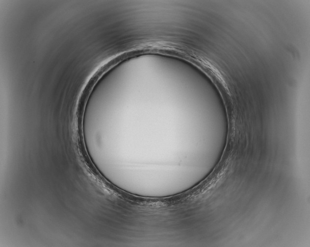X0000111830784200907231021