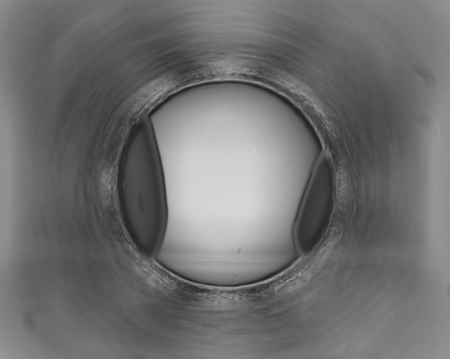X0000111830785200907231021