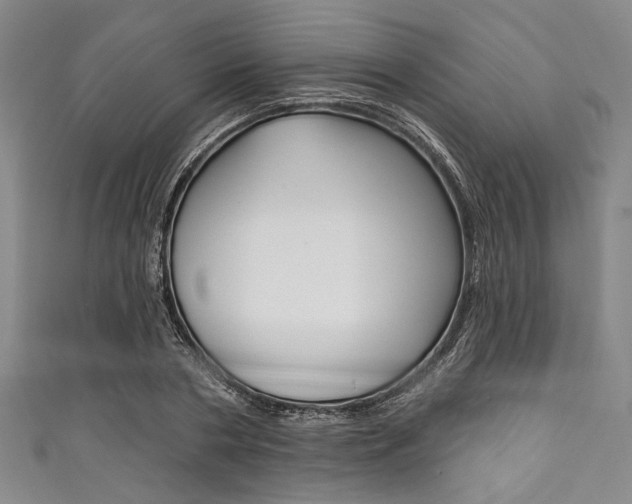 X0000111830786200907231021