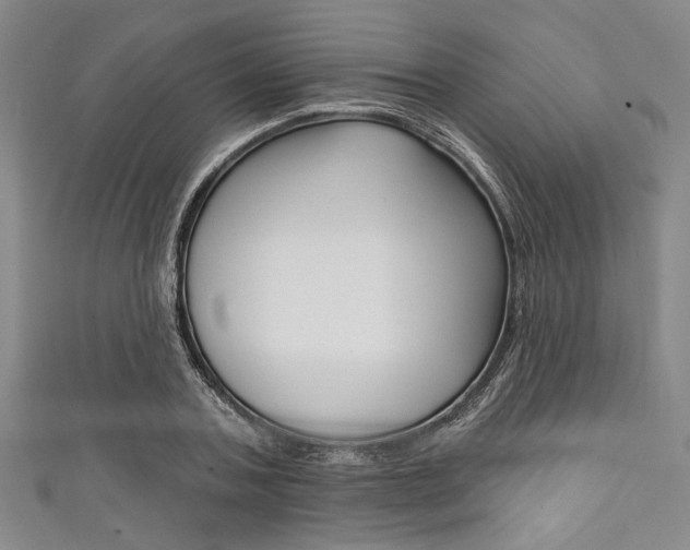 X0000111830787200907231021