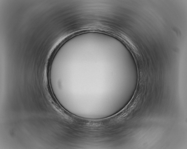 X0000111830788200907231021
