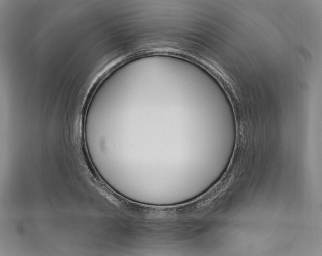 X0000111830790200907231021
