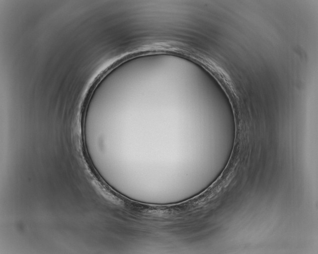 X0000111830792200907231021