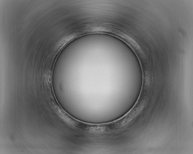 X0000111830793200907231021