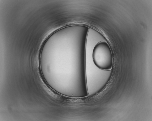 X0000111830795200907231021