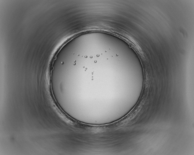 X0000111830796200907231021