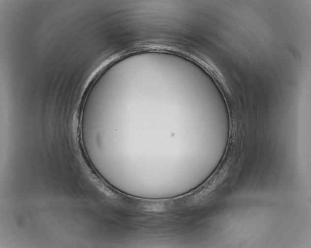 X0000111830798200907231021