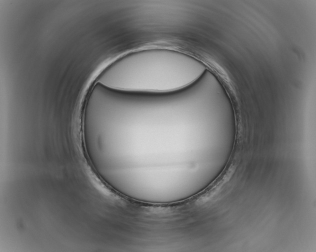X0000111830800200907231021