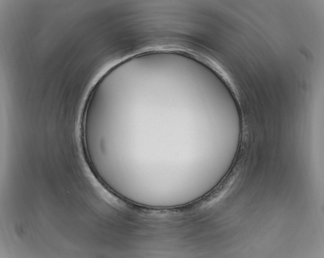 X0000111830803200907231021
