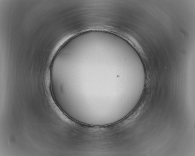 X0000111830804200907231021