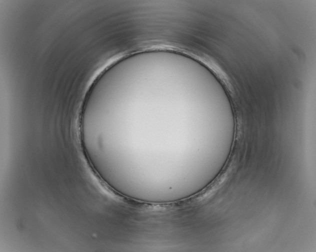 X0000111830806200907231021