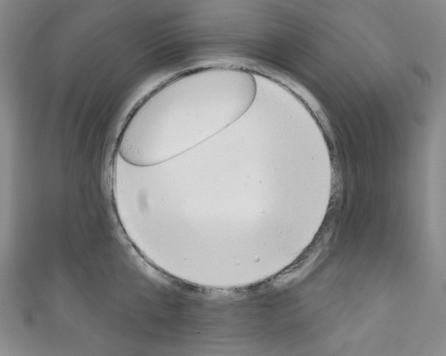 X0000111830807200907231021