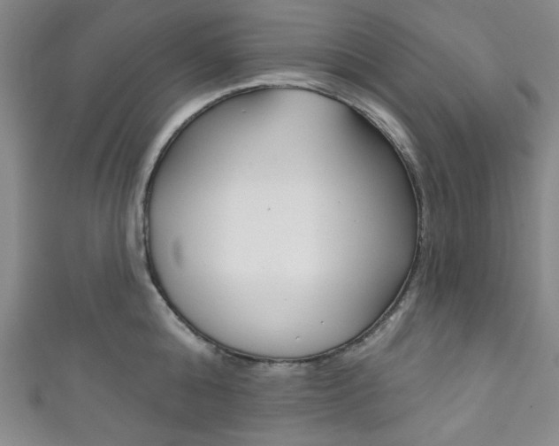 X0000111830808200907231021