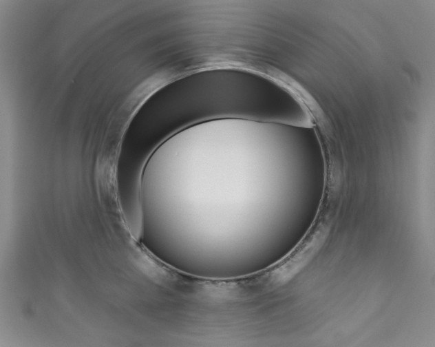 X0000111830809200907231021