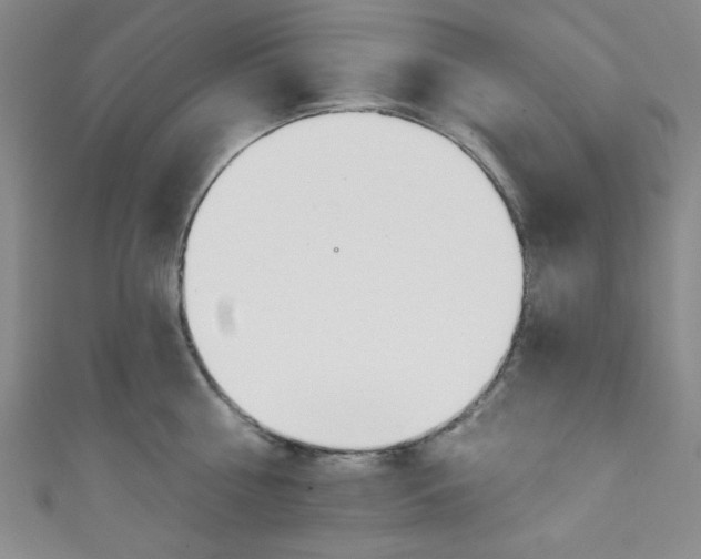 X0000111830810200907231021