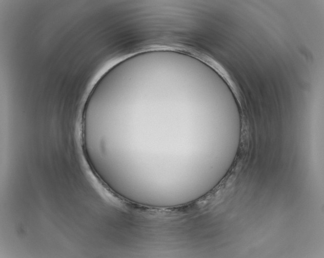 X0000111830811200907231021
