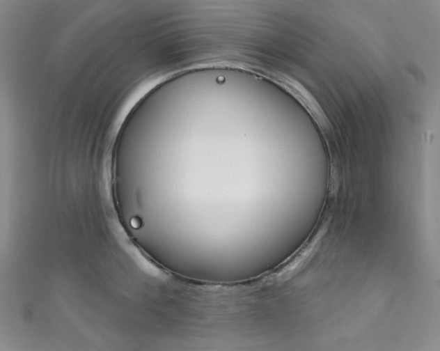 X0000111830812200907231021