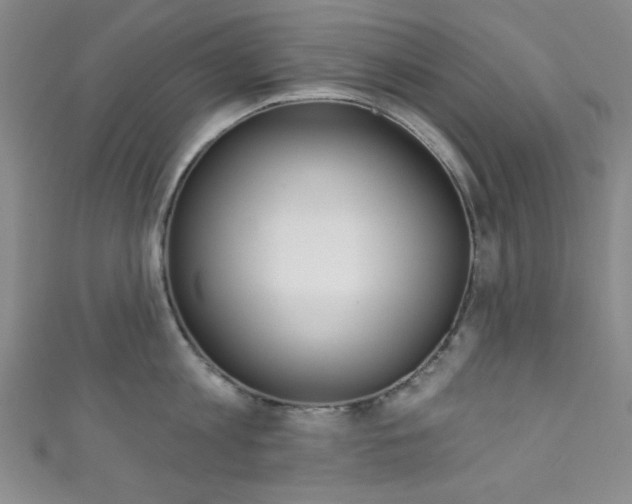 X0000111830813200907231021