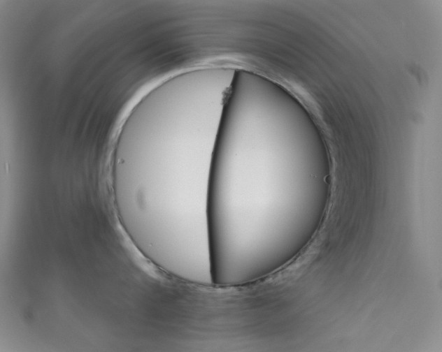 X0000111830816200907231021