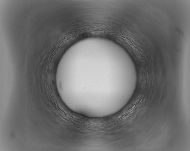 X0000111830817200907231020