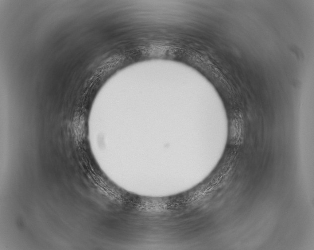X0000111830820200907231020