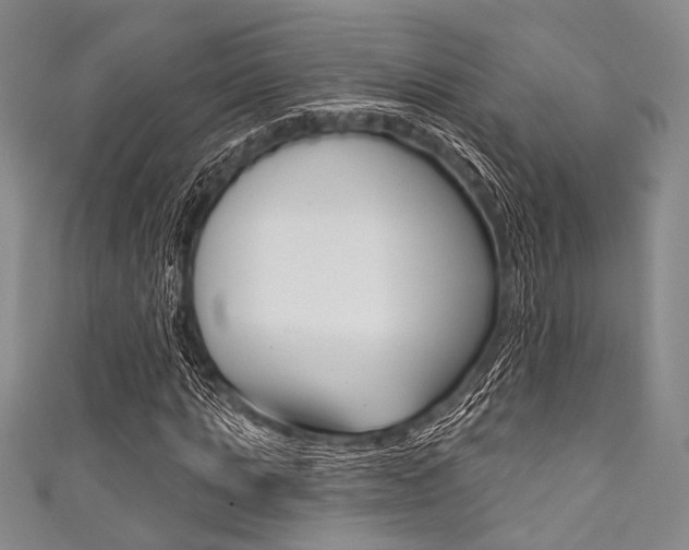 X0000111830821200907231020