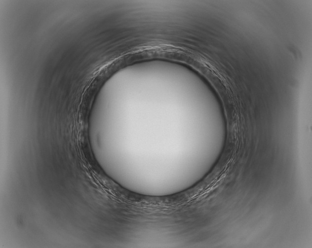 X0000111830822200907231020