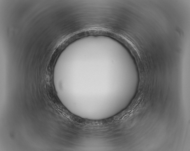 X0000111830823200907231020