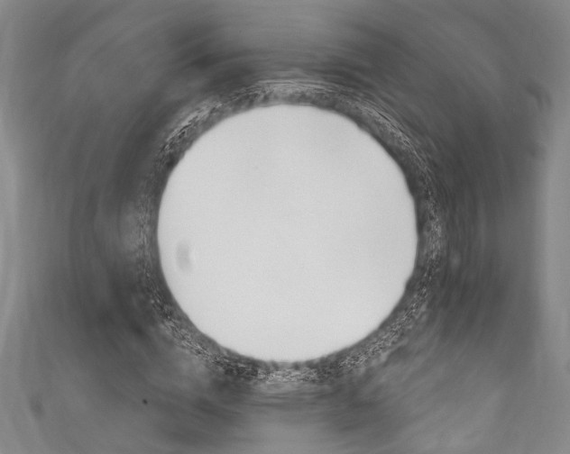 X0000111830824200907231020