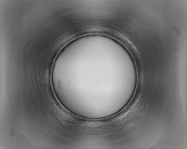 X0000111830825200907231020