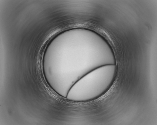 X0000111830827200907231020