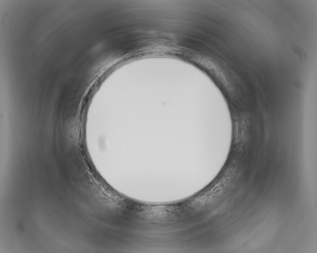 X0000111830828200907231020