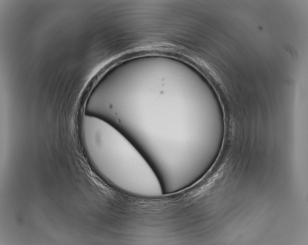 X0000111830830200907231020