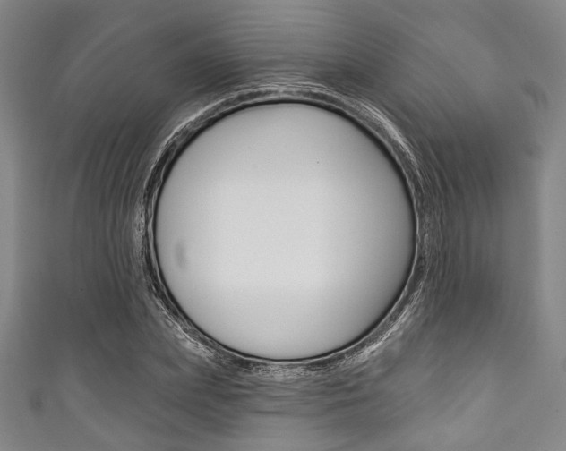 X0000111830831200907231020