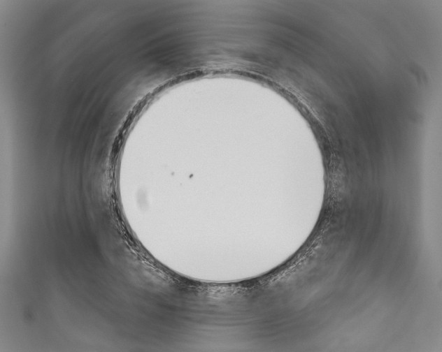 X0000111830832200907231020