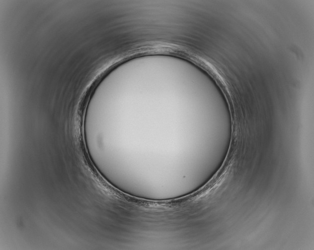 X0000111830835200907231020