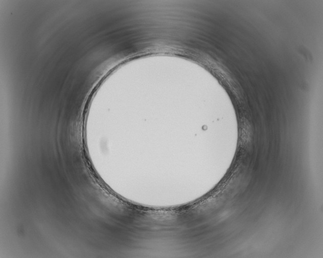 X0000111830836200907231020