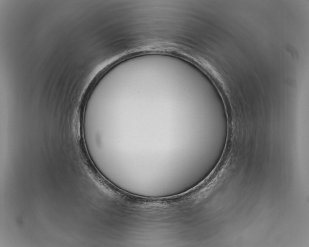 X0000111830838200907231020