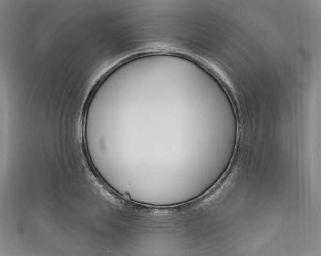 X0000111830839200907231021