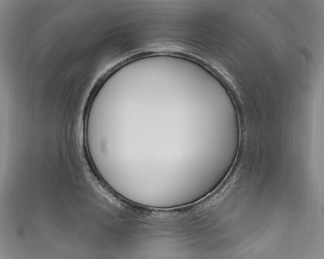 X0000111830840200907231021