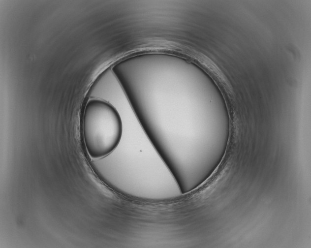 X0000111830842200907231021
