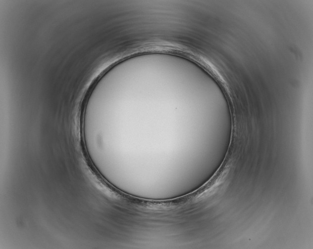 X0000111830843200907231021