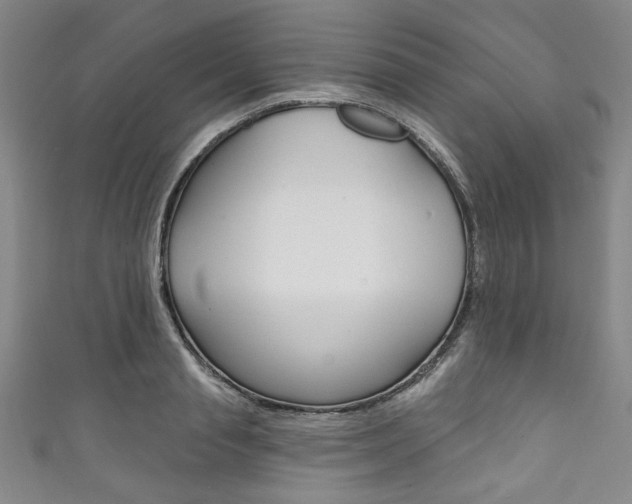 X0000111830845200907231021