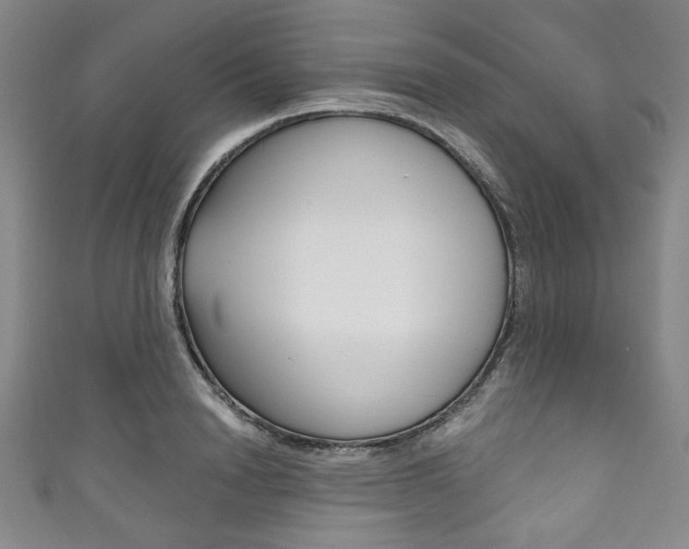X0000111830846200907231021