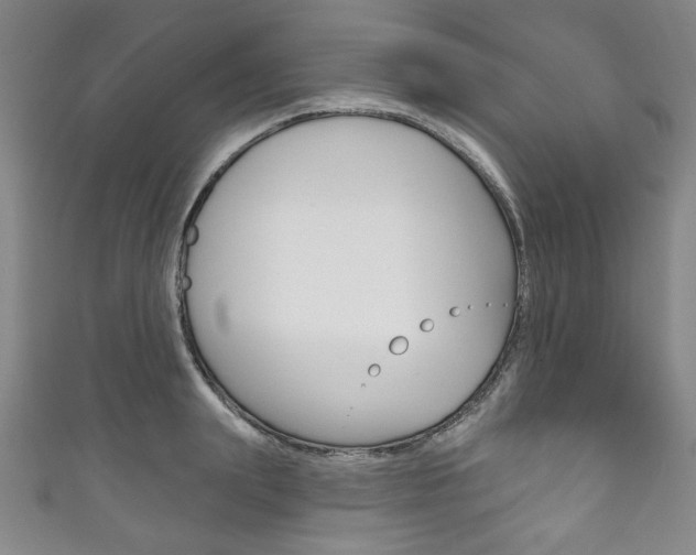 X0000111830847200907231021