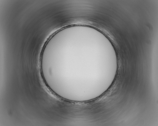 X0000111830848200907231021