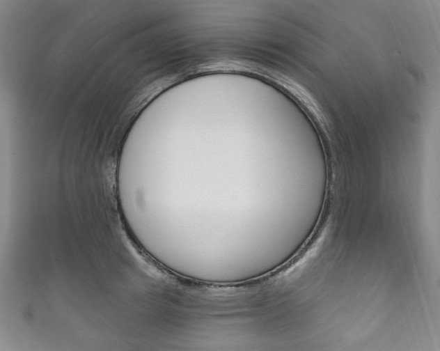 X0000111830849200907231021