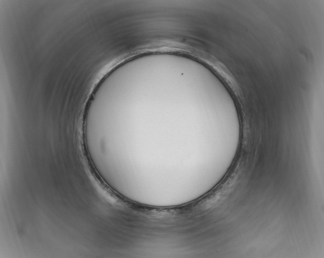 X0000111830850200907231021