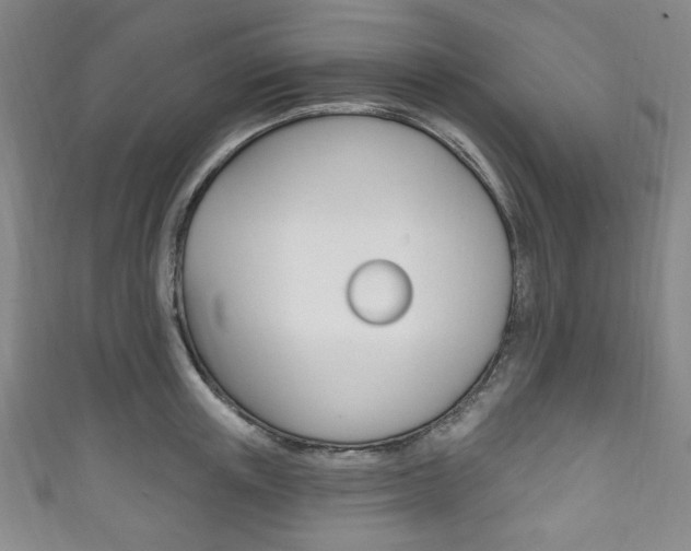 X0000111830851200907231021